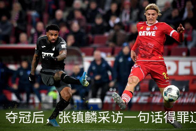 夺冠后，张镇麟采访一句话得罪辽宁，辽蜜：有本事到四川证明价值